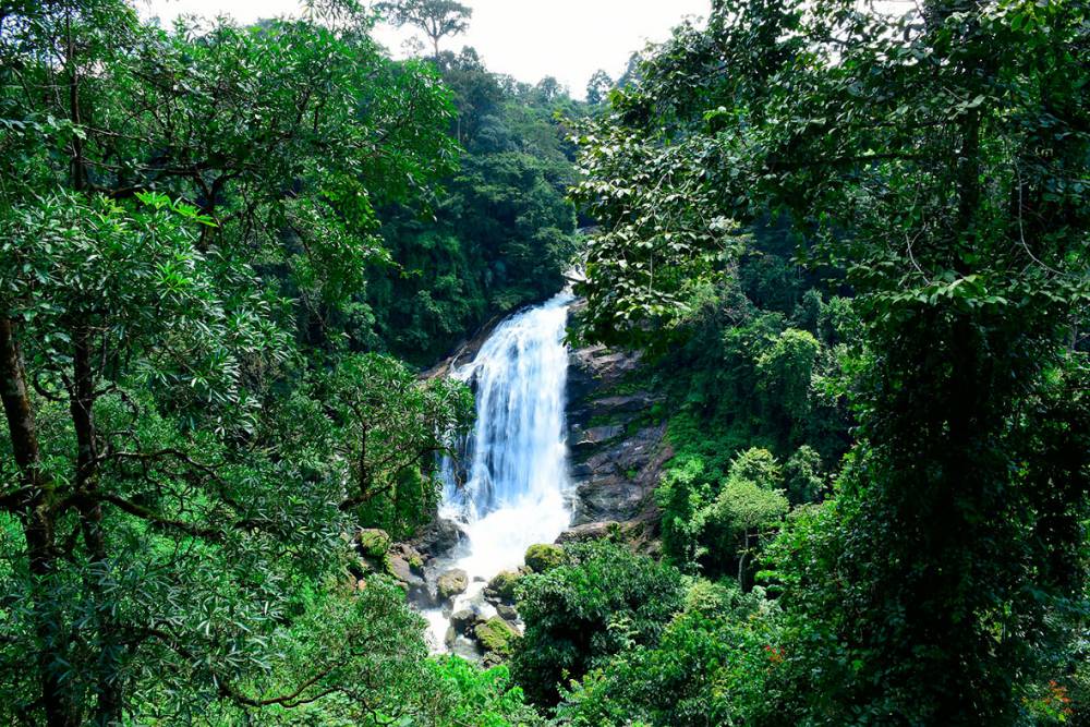 Nayamakad Waterfall